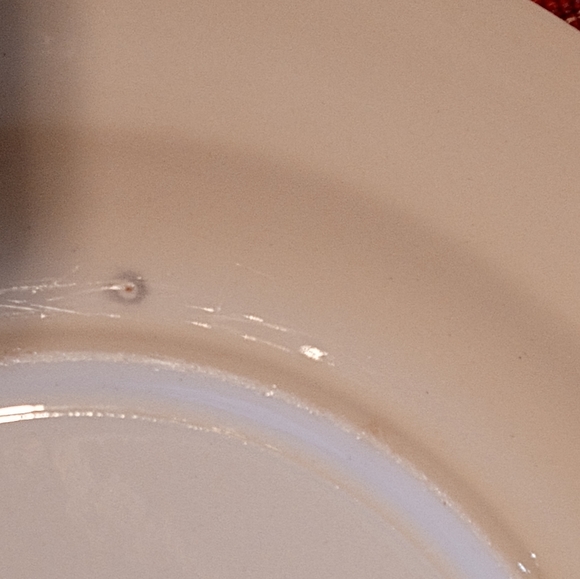 Homer Laughlin dinnerware . - Picture 8 of 16